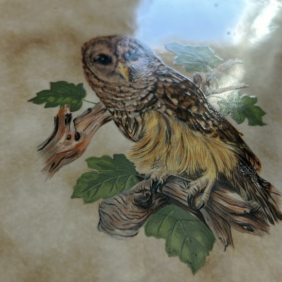 Owl Wall Art Tile Trivet Art 8.5”x8.5” - Picture 4 of 7